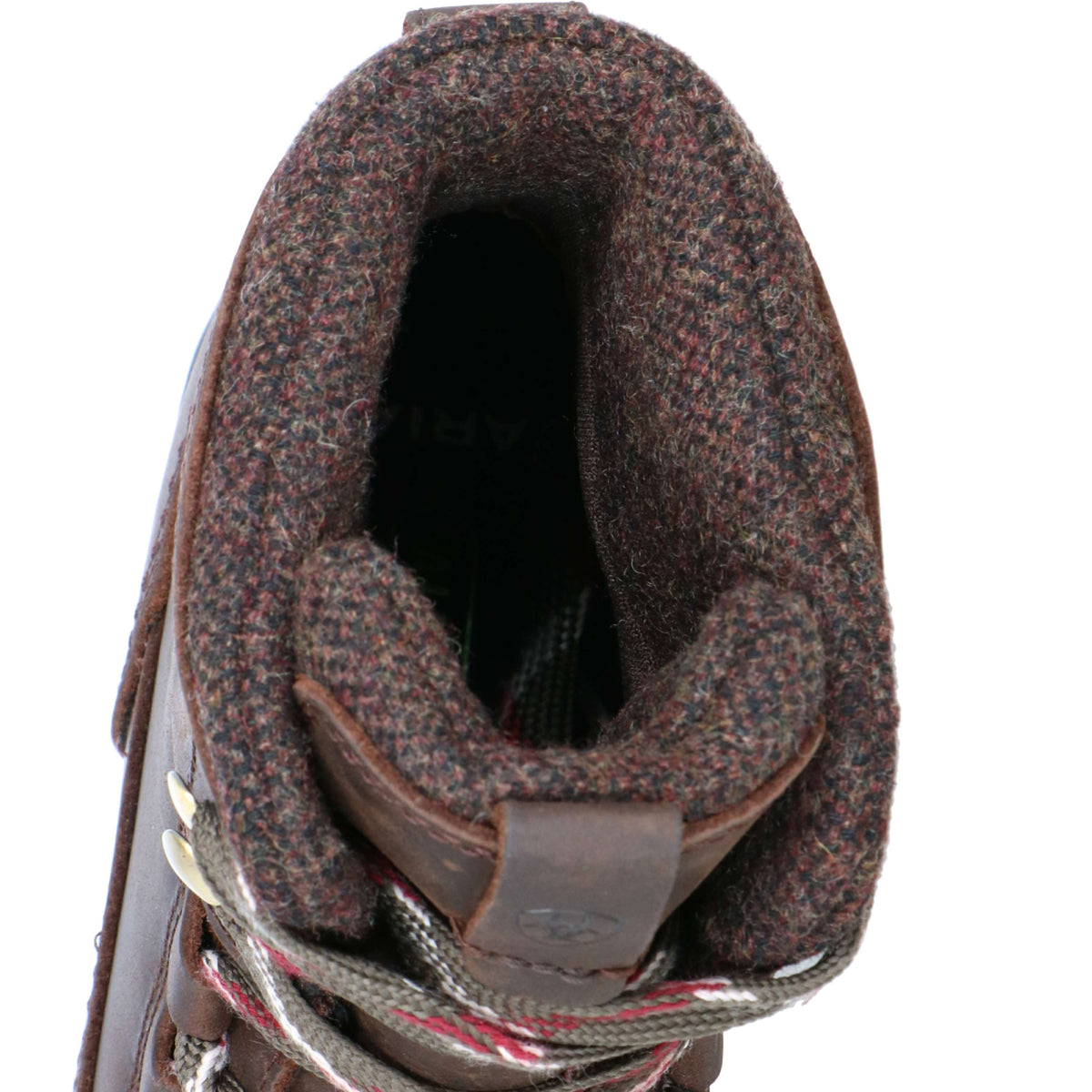 Ariat Botas de Establo Harper Waterproof Mujer Chocolat/Willow