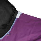 Weatherbeeta Manta de Invierno Comfitec Essential Standard Neck Lite Violeta/Azul