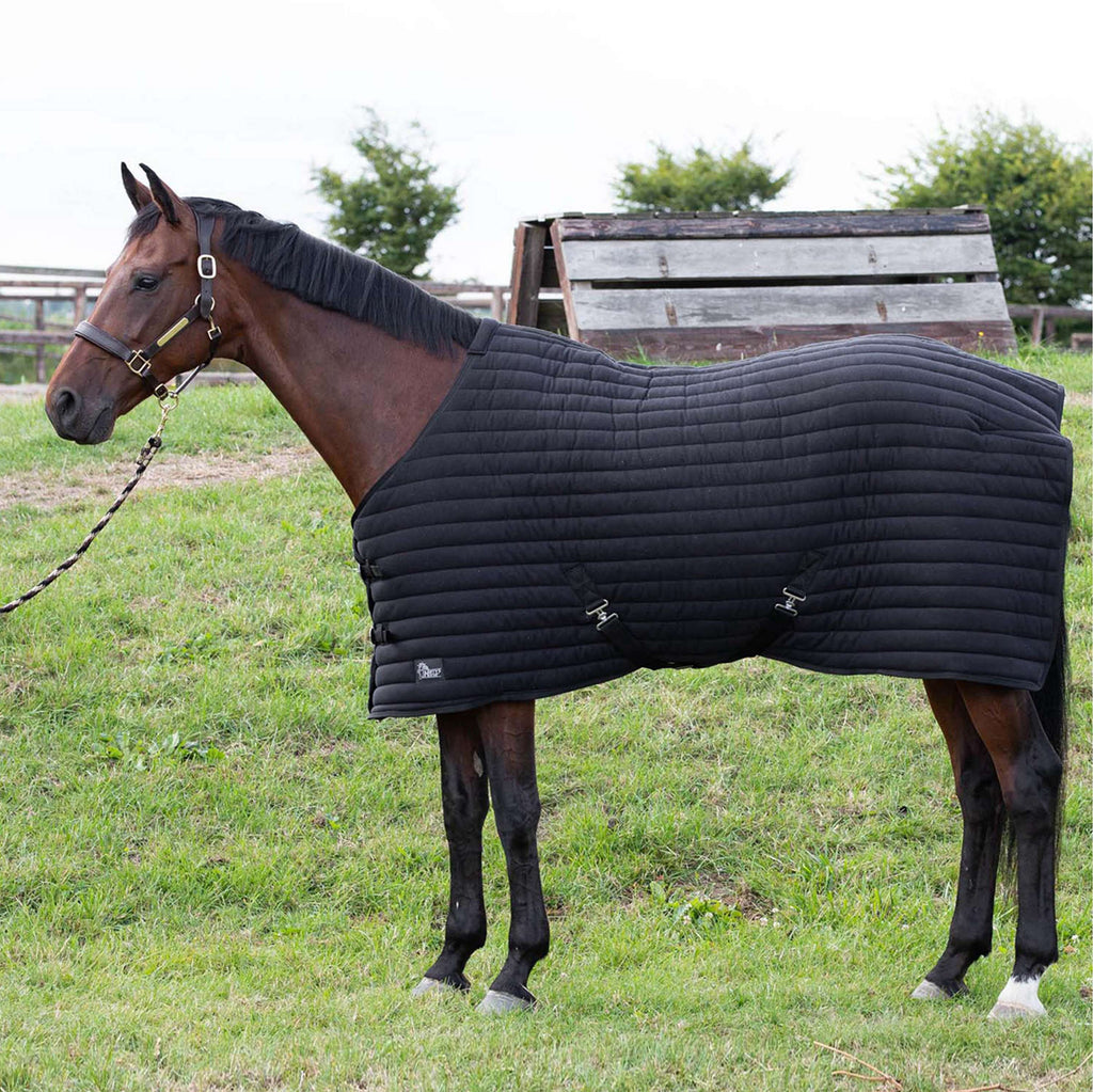 Harry's Horse Bajoalfombra Powerliner Negro