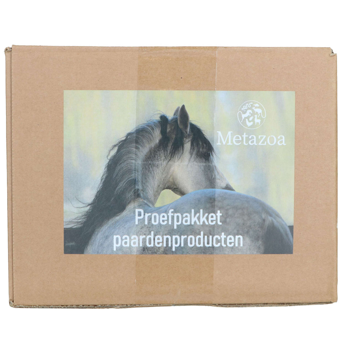 Metazoa Pack de Prueba
