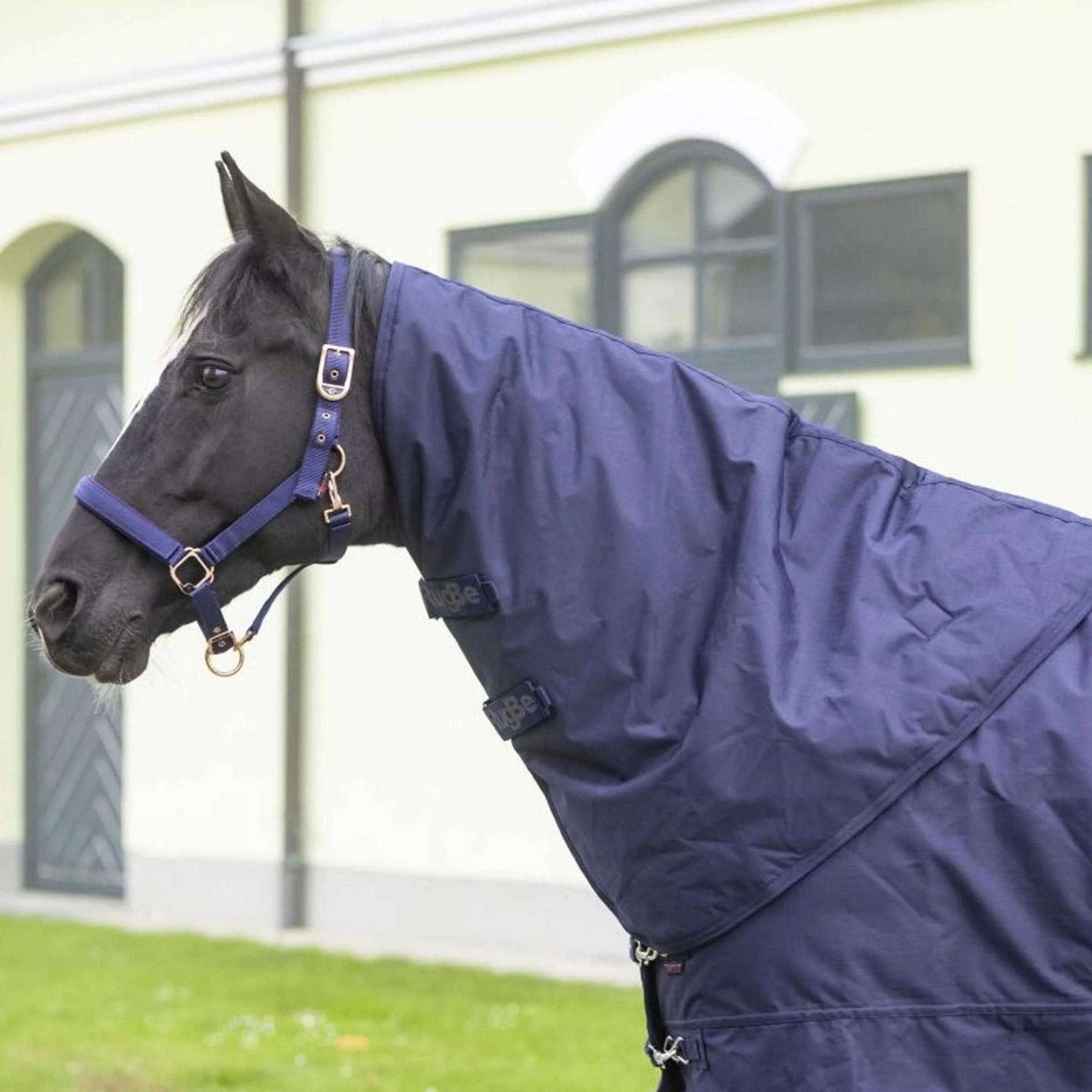 RugBe by Covalliero Cubrecuellos IceProtect Dark Navy