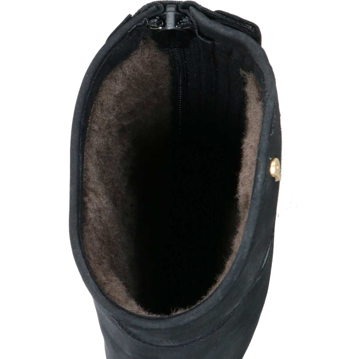 Petrie Botas de Equitación Explorer Winter Negro