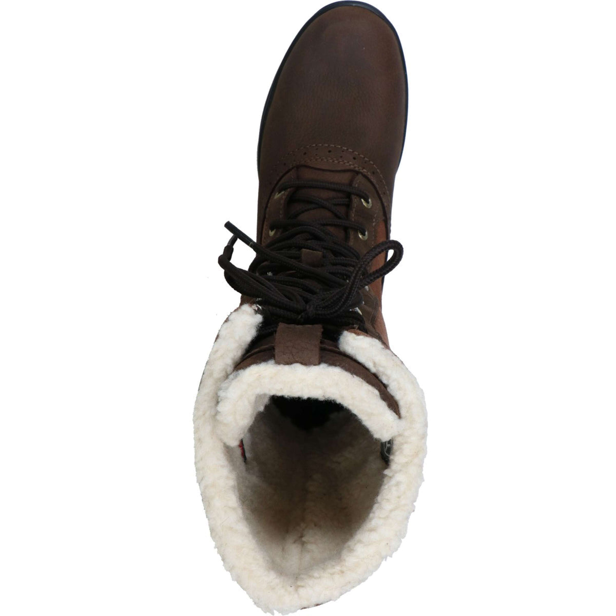 Ariat Botas de Exterior Whythburn H2O Mid Java