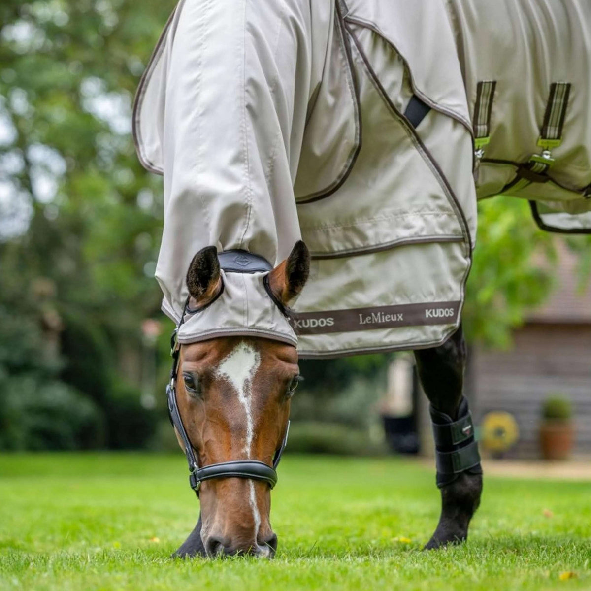 LeMieux Manta para Eczema Kudos Sweet Itch Piedra