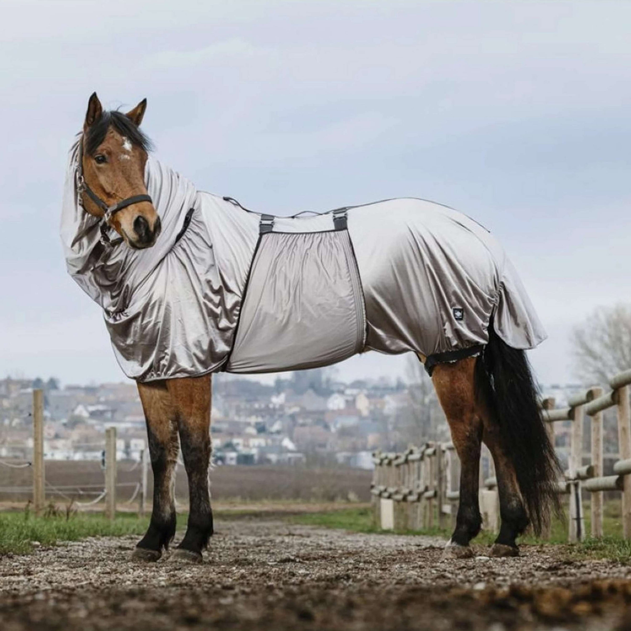 Riding World Manta para Eczema Gris Riding World Manta para Eczema Gris