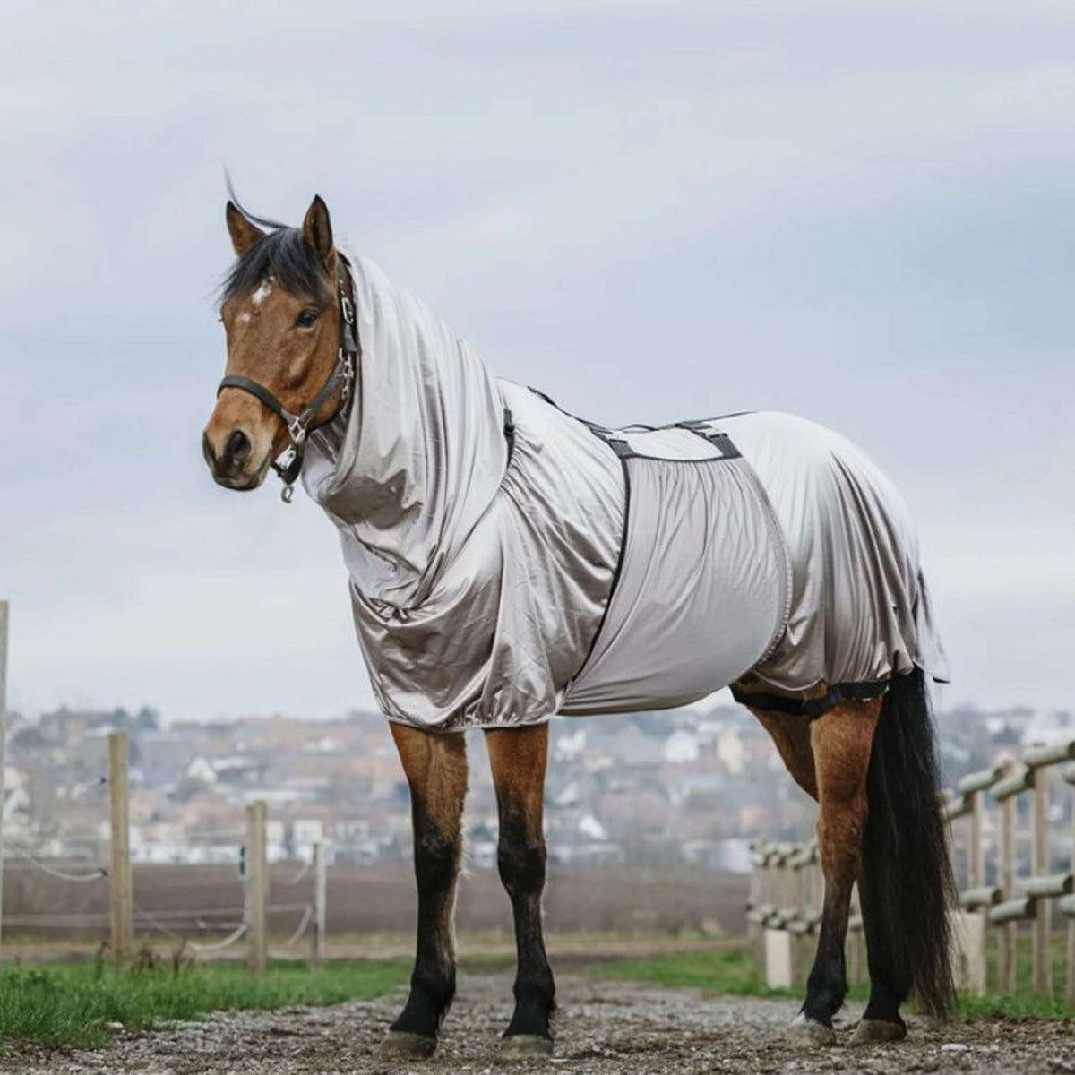 Riding World Manta para Eczema Gris