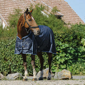 Riding World Alfombra de Exterior ECO 600D 0g Navy