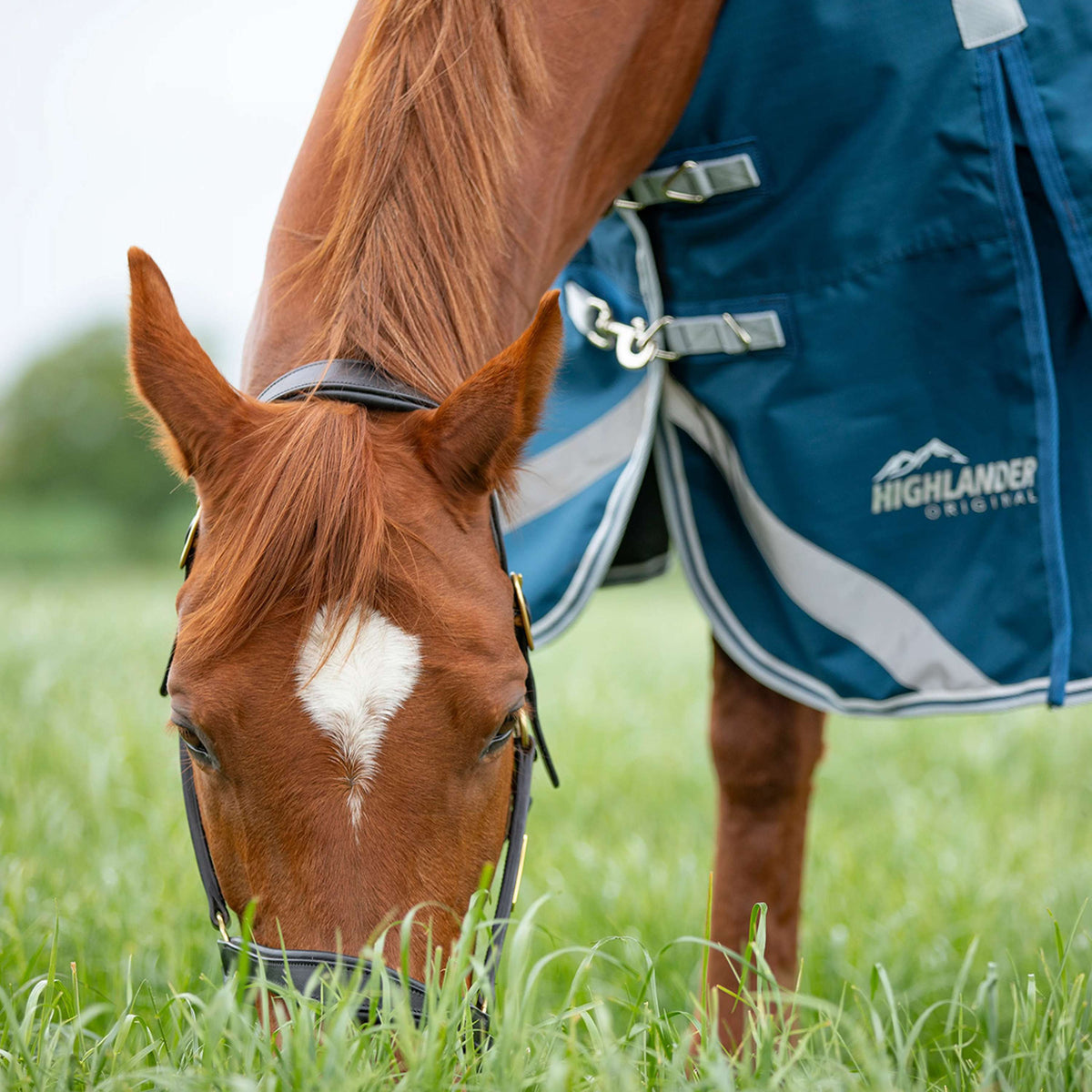 Manta de lluvia Shires Original 50 g con cuello Oceano