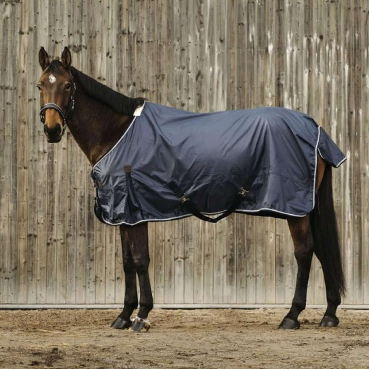 EQUITHÈME Manta de Verano Rain Navy