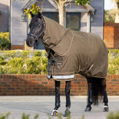 LeMieux Manta de exterior Arika 600D 0g Alpine