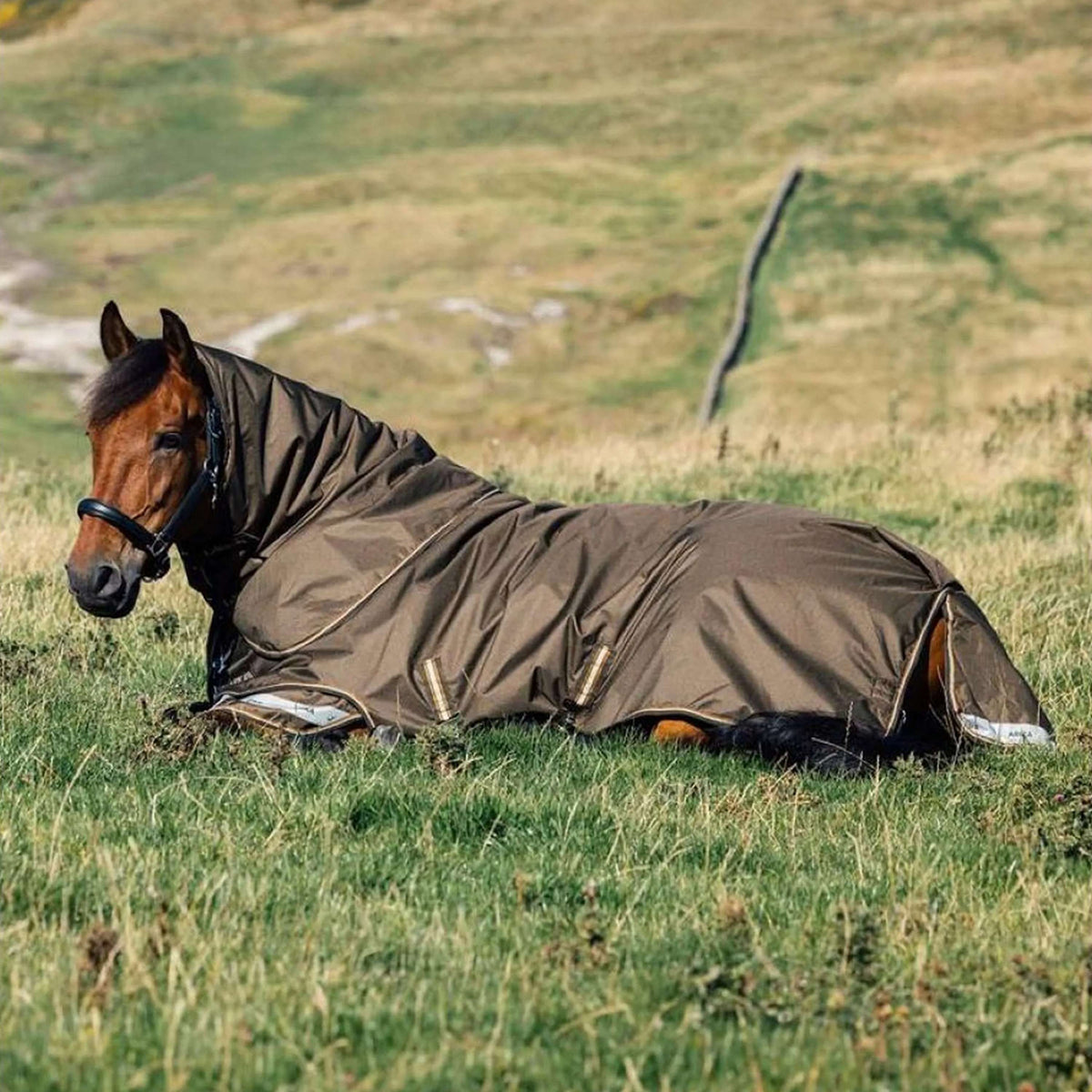 LeMieux Manta de exterior Arika 600D 100g Alpine