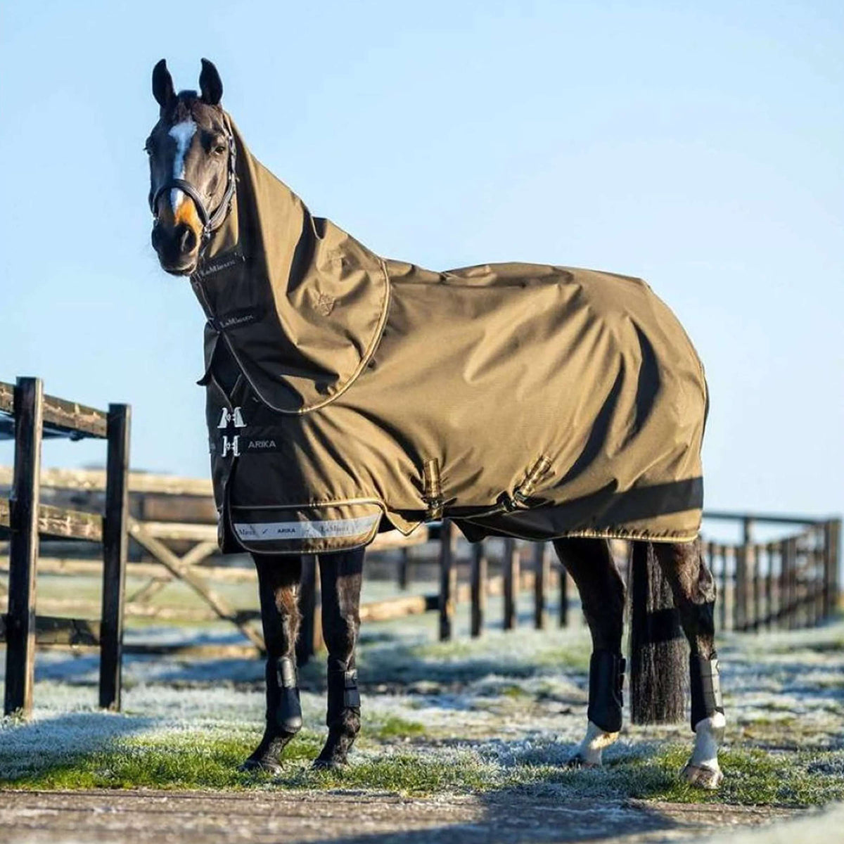 LeMieux Manta de exterior Arika 600D 100g Alpine