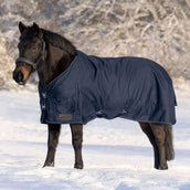 Waldhausen Alfombra de Exterior Nordic 100g Azul Noche