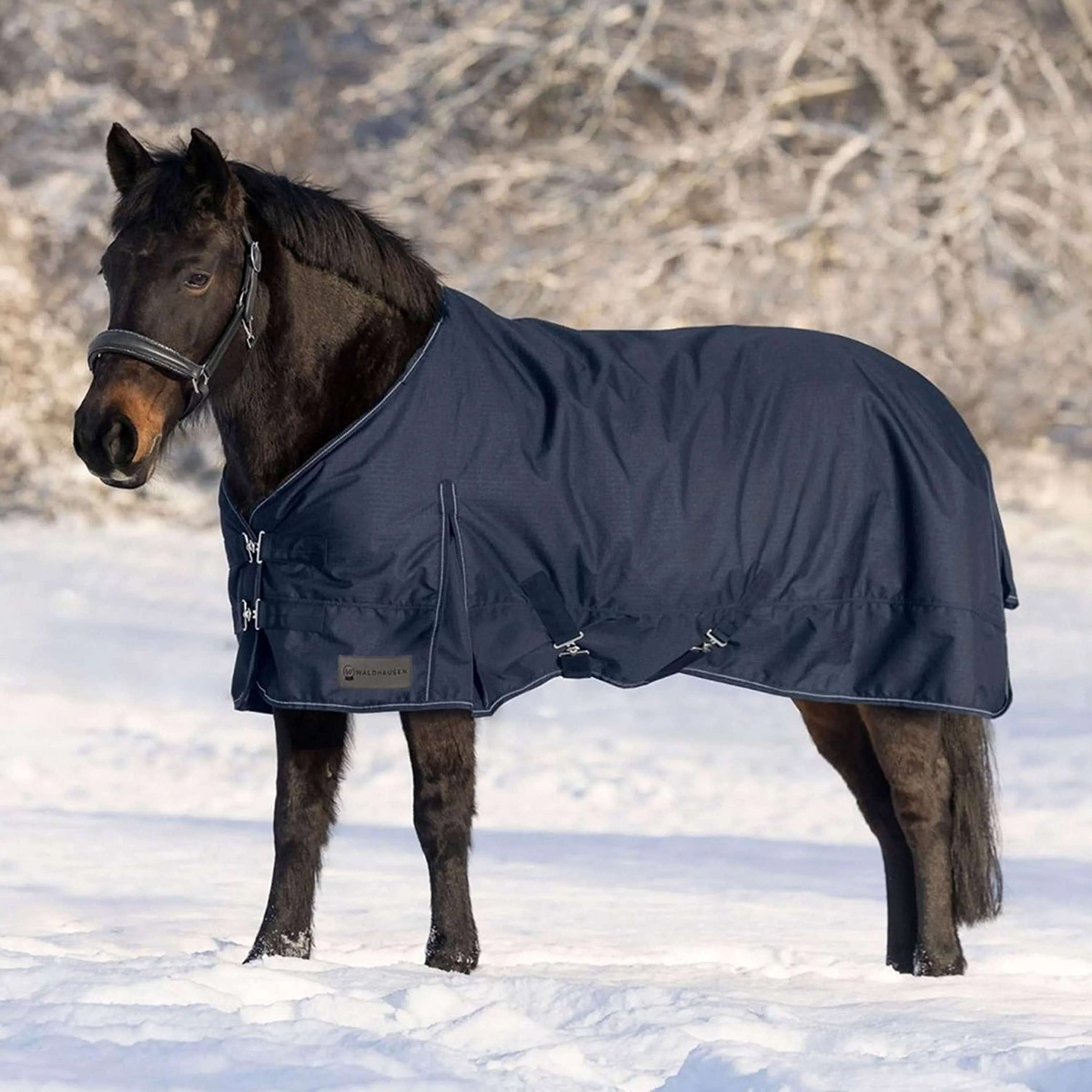 Waldhausen Alfombra de Exterior Nordic 100g Azul Noche