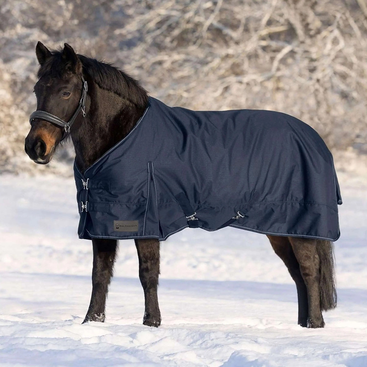 Waldhausen Alfombra de Exterior Nordic 100g Azul Noche