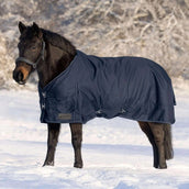 Waldhausen Alfombra de Exterior Nordic 100g Azul Noche