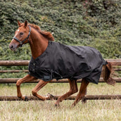 Waldhausen Alfombra de Exterior Nordic 100g Negro