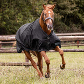 Waldhausen Alfombra de Exterior Nordic 100g Negro