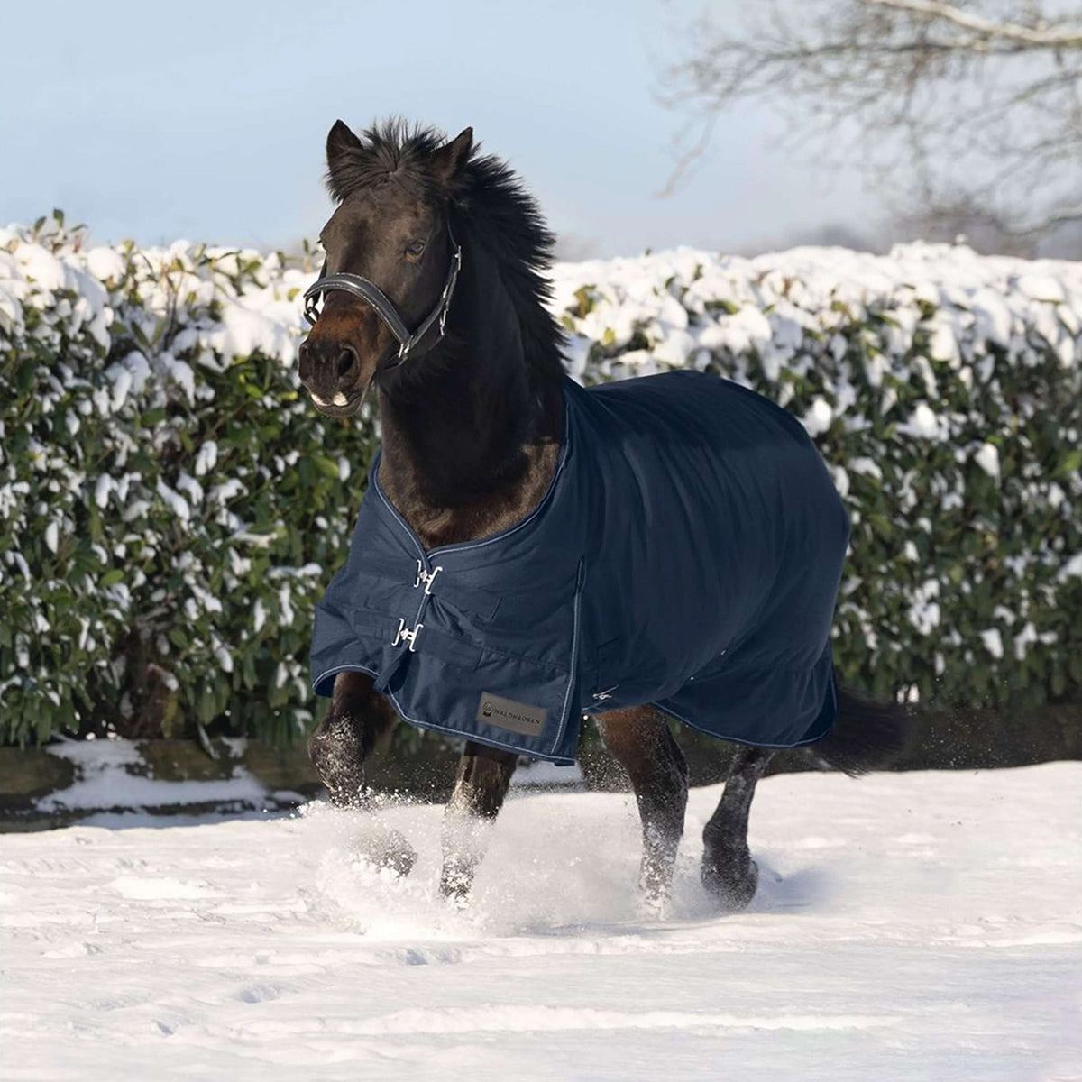 Waldhausen Alfombra de Exterior Nordic 50 g Azul Noche