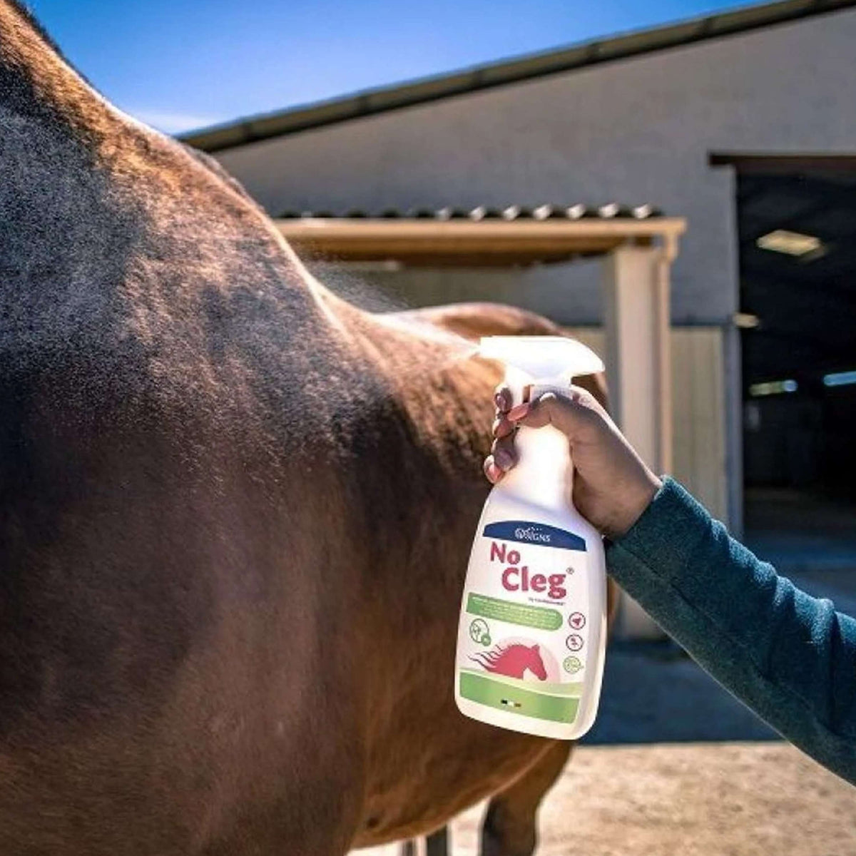 NoCleg Spray
