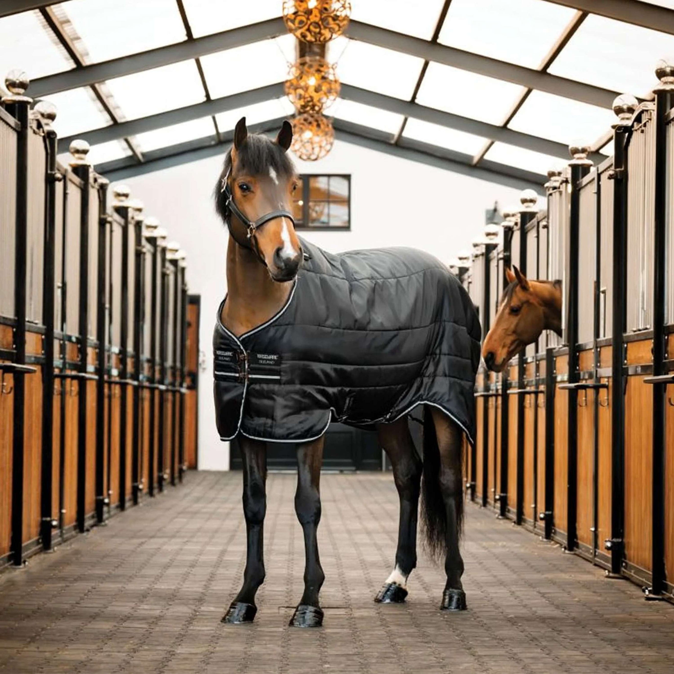 Horseware Easy-Layer Stable 100g Negro/Negro Horseware Easy-Layer Stable 100g Negro/Negro