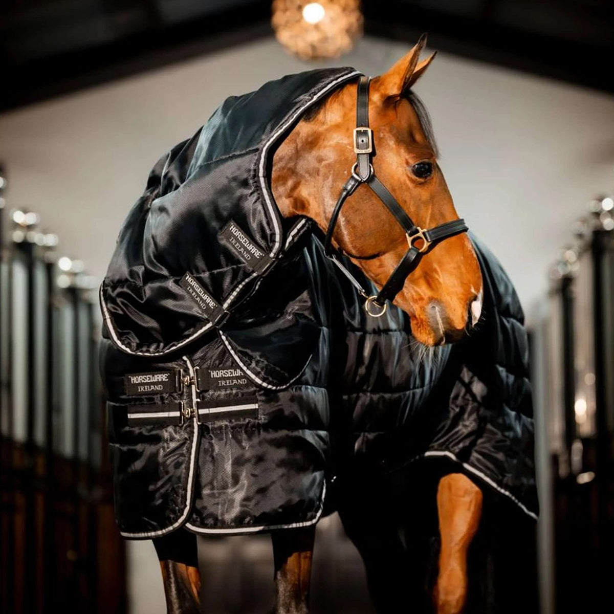 Horseware Easy-Layer Stable Plus Heavy 400g Negro/Negro