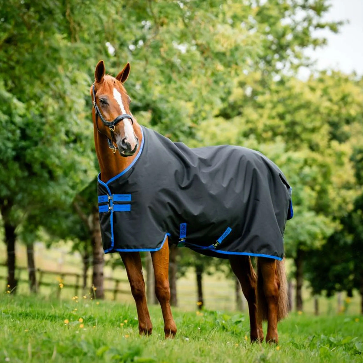 Amigo Ripstop 900 Original 50g de forro polar Negro/Azul