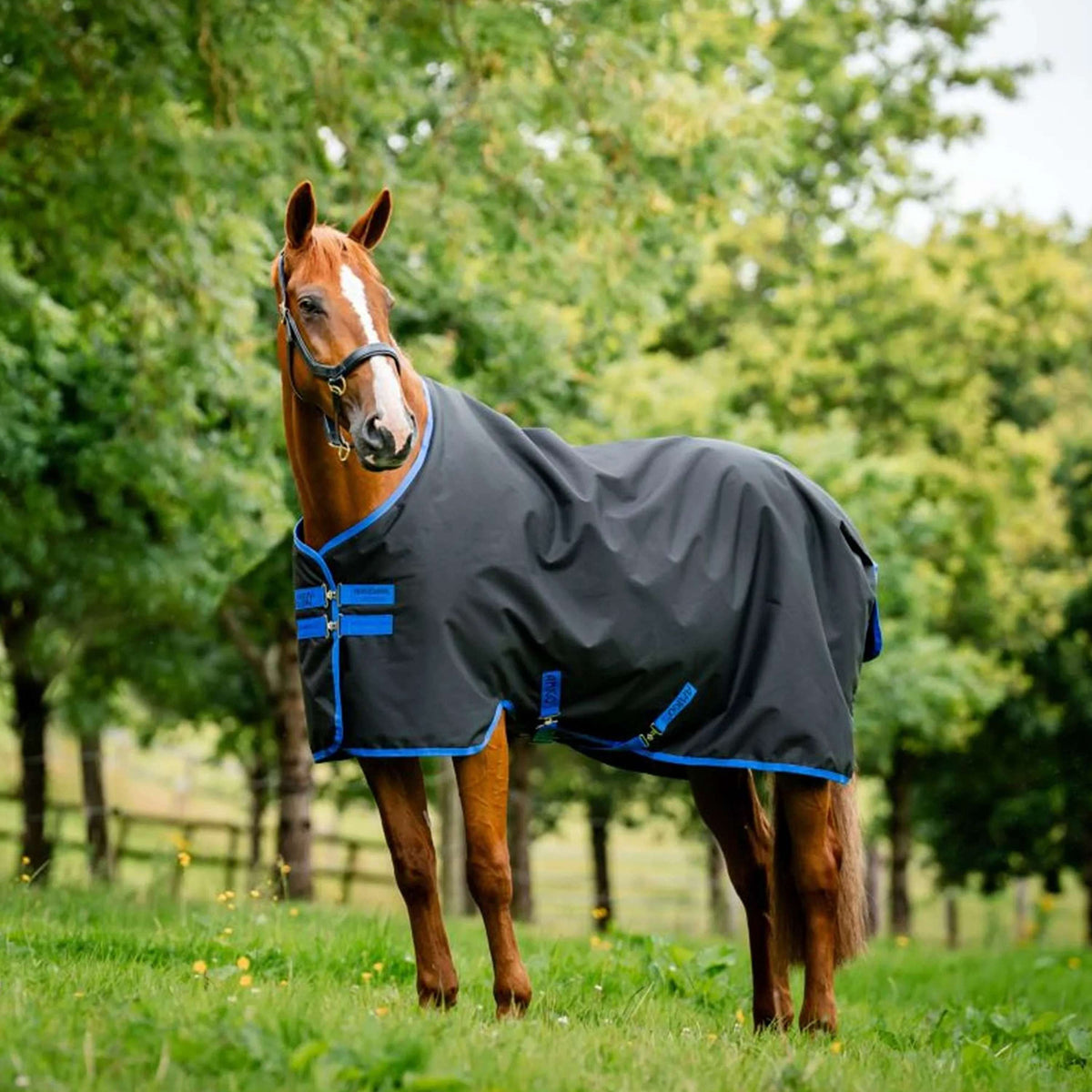 Amigo Ripstop 900 Original 50g de forro polar Negro/Azul