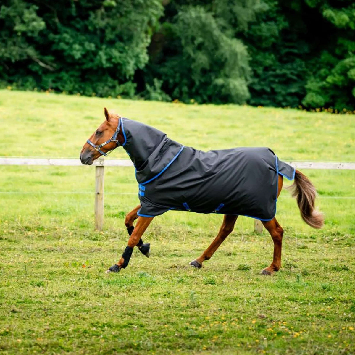 Amigo Ripstop 900D Plus  0g Negro/Azul