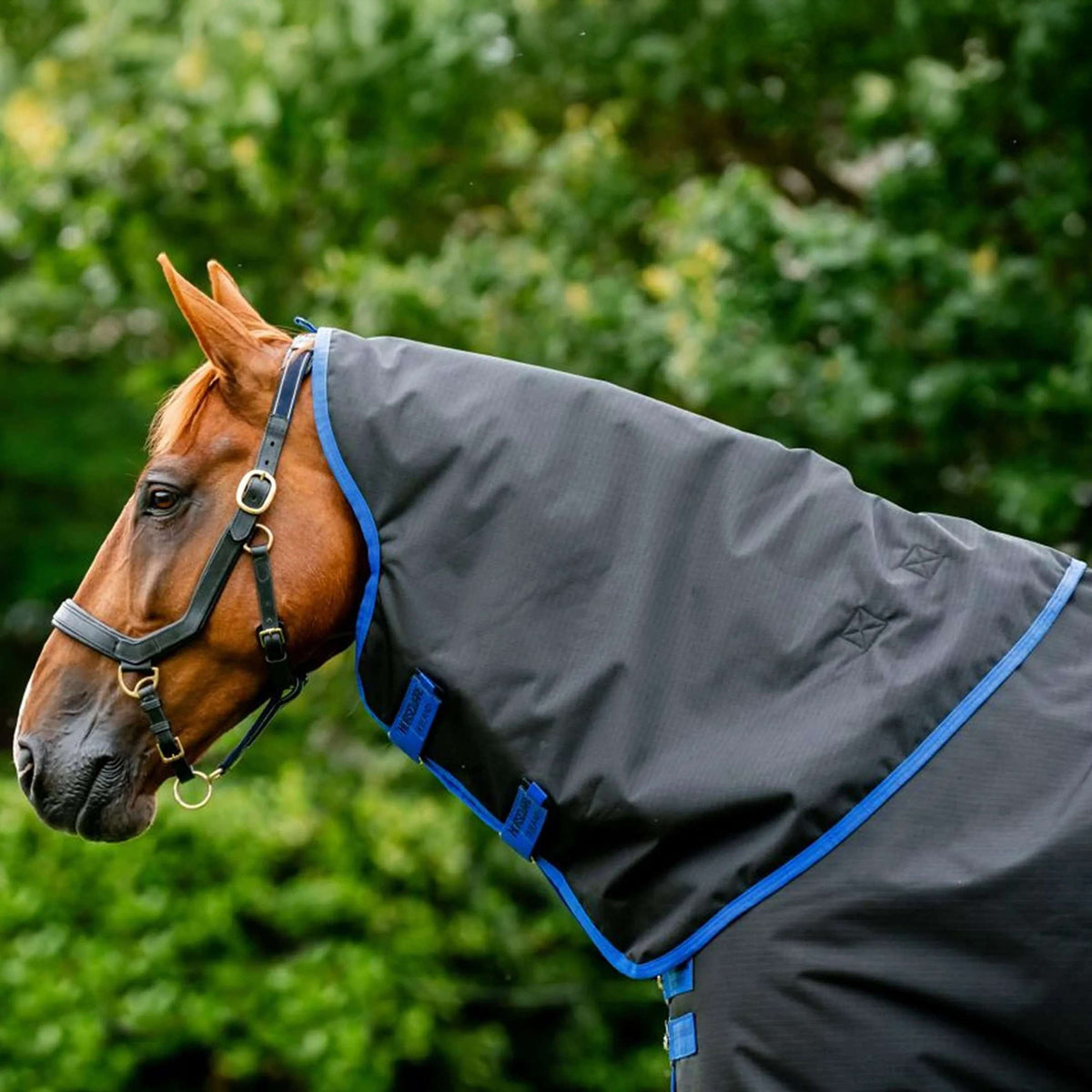 Amigo Pieza de cuello Ripstop 900  0g Negro/Azul