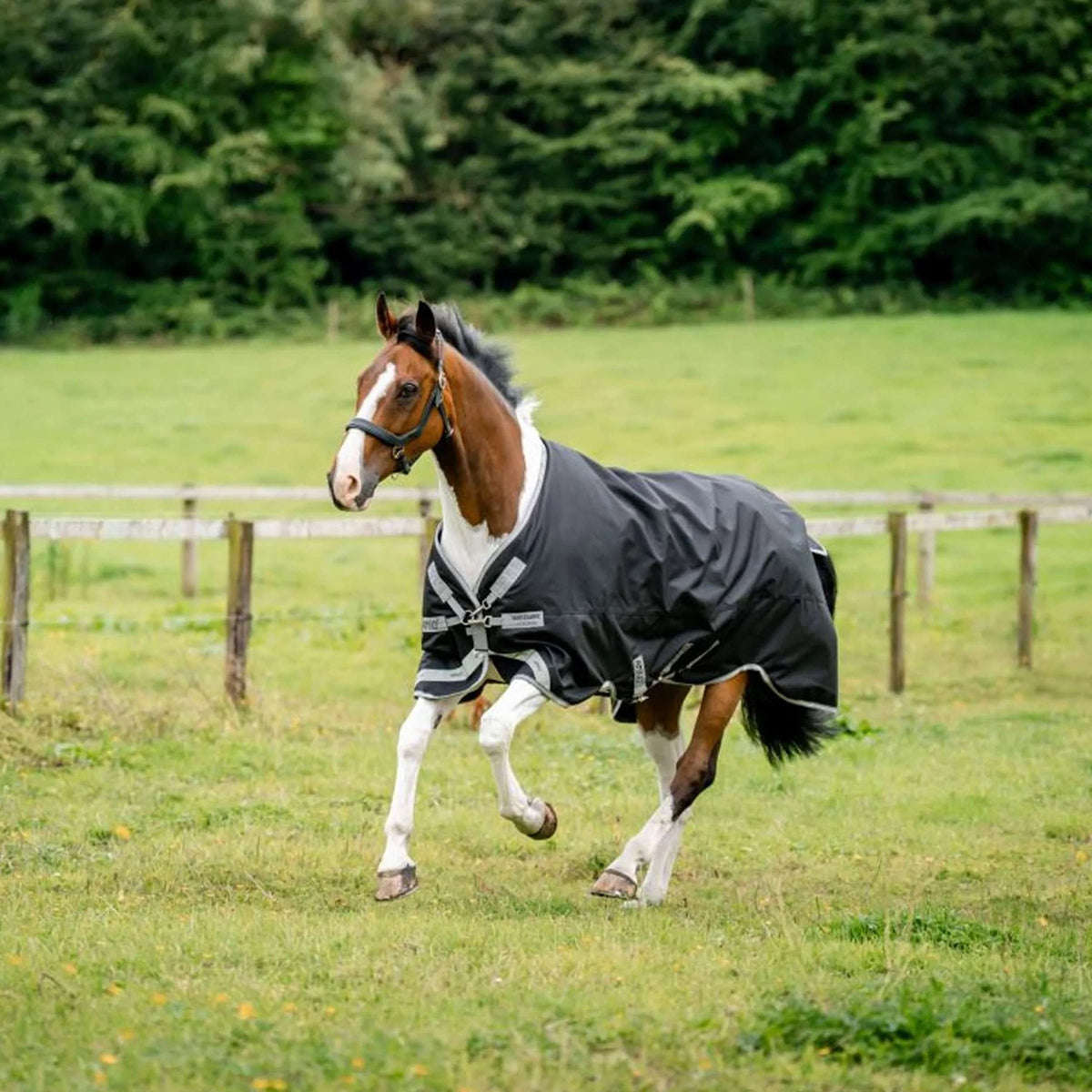 Amigo Bravo 12 Turnout 100g Black/Titanium Grey