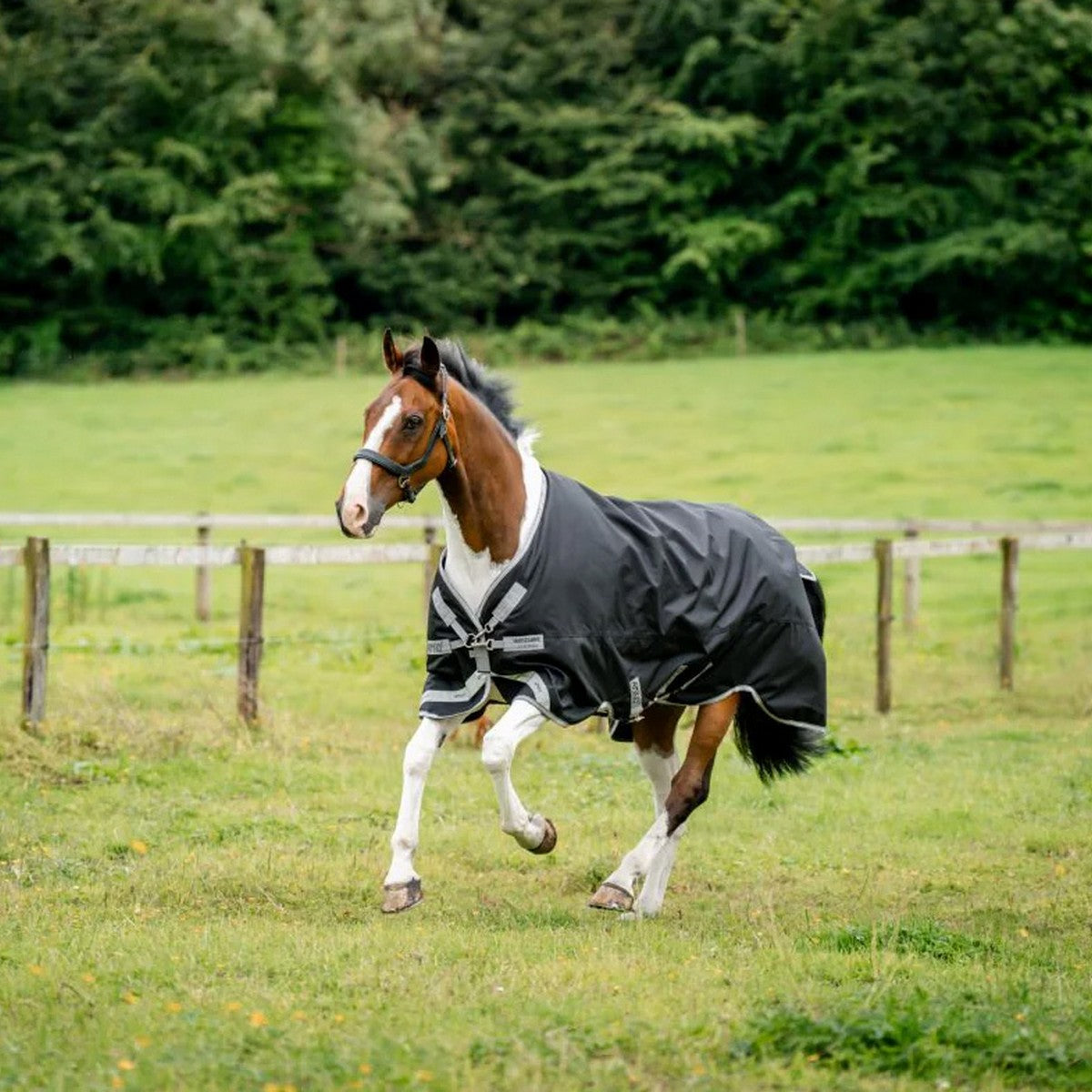 Amigo Bravo 12XL Original Turnout Mediana 250g Black/Titanium Grey