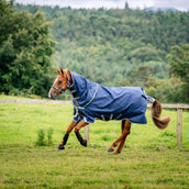 Amigo Turnout 1200D Plus 50g Marino/Gris Titanio/Plateado