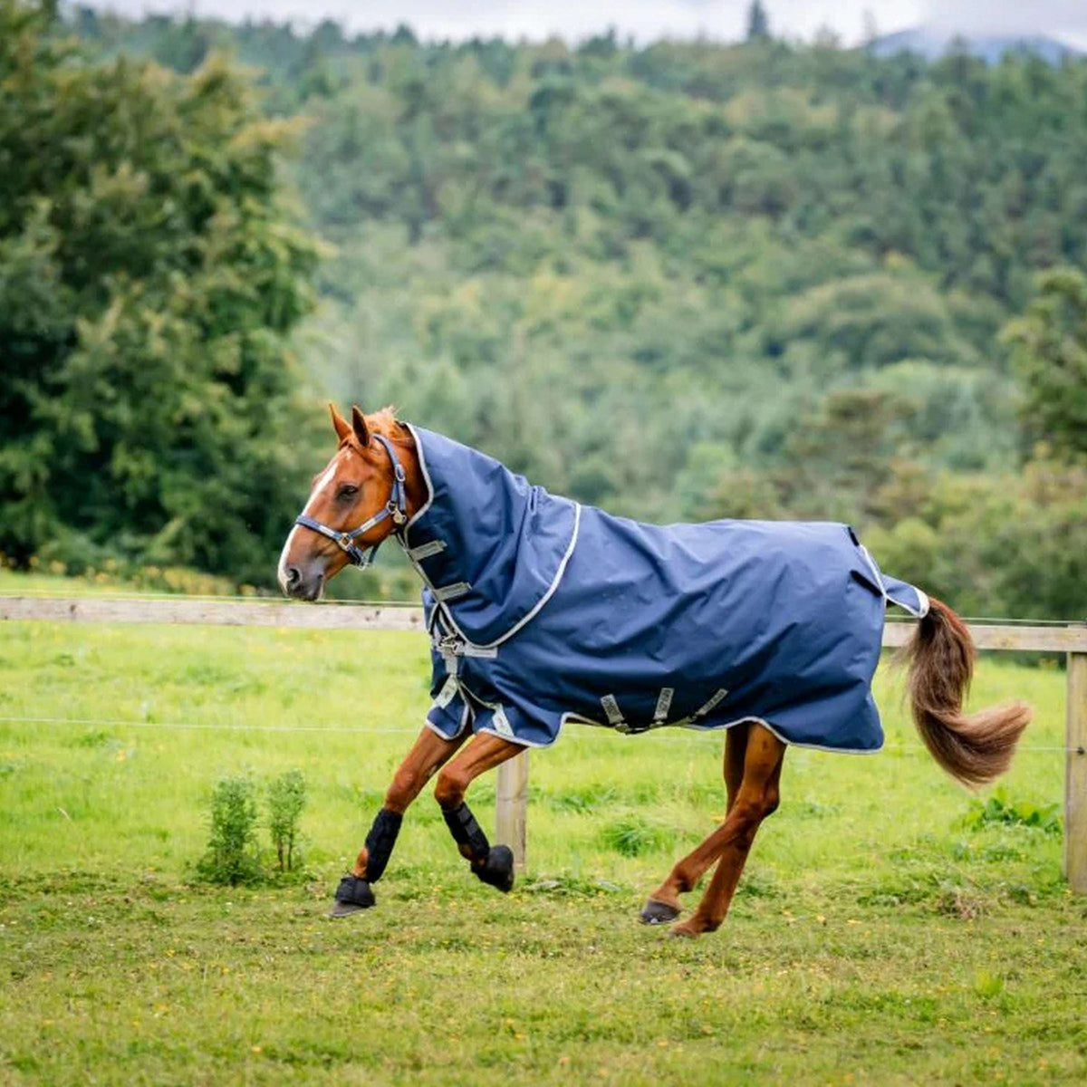 Amigo Paquete Bravo 12 Plus 50g Navy/Titanium Grey
