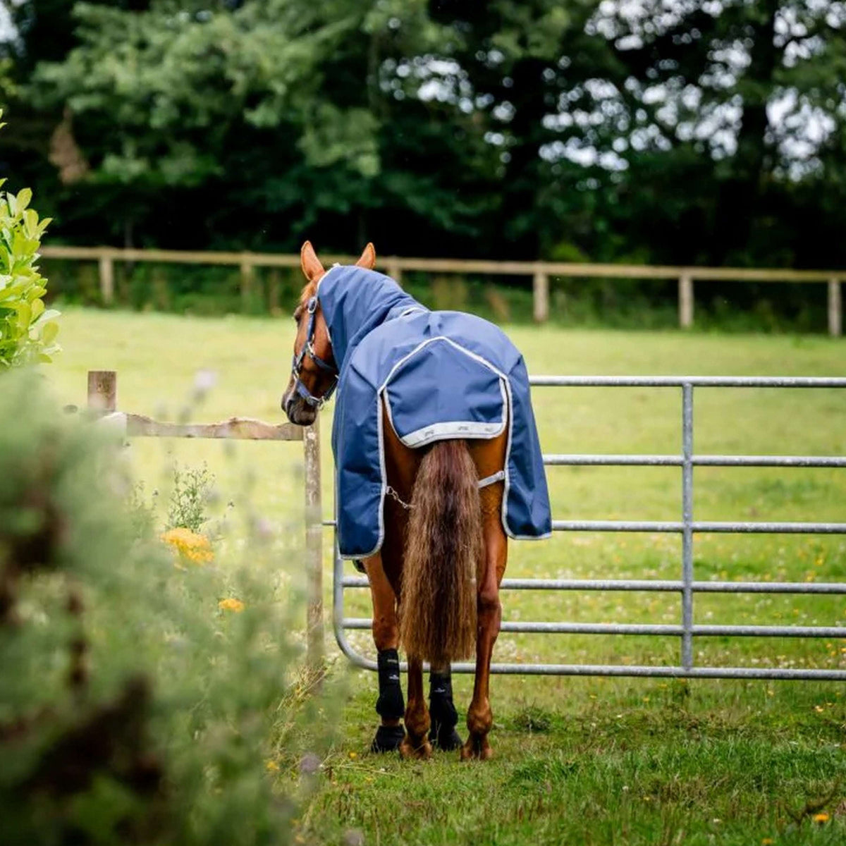 Amigo Paquete Bravo 12 Plus 50g Navy/Titanium Grey