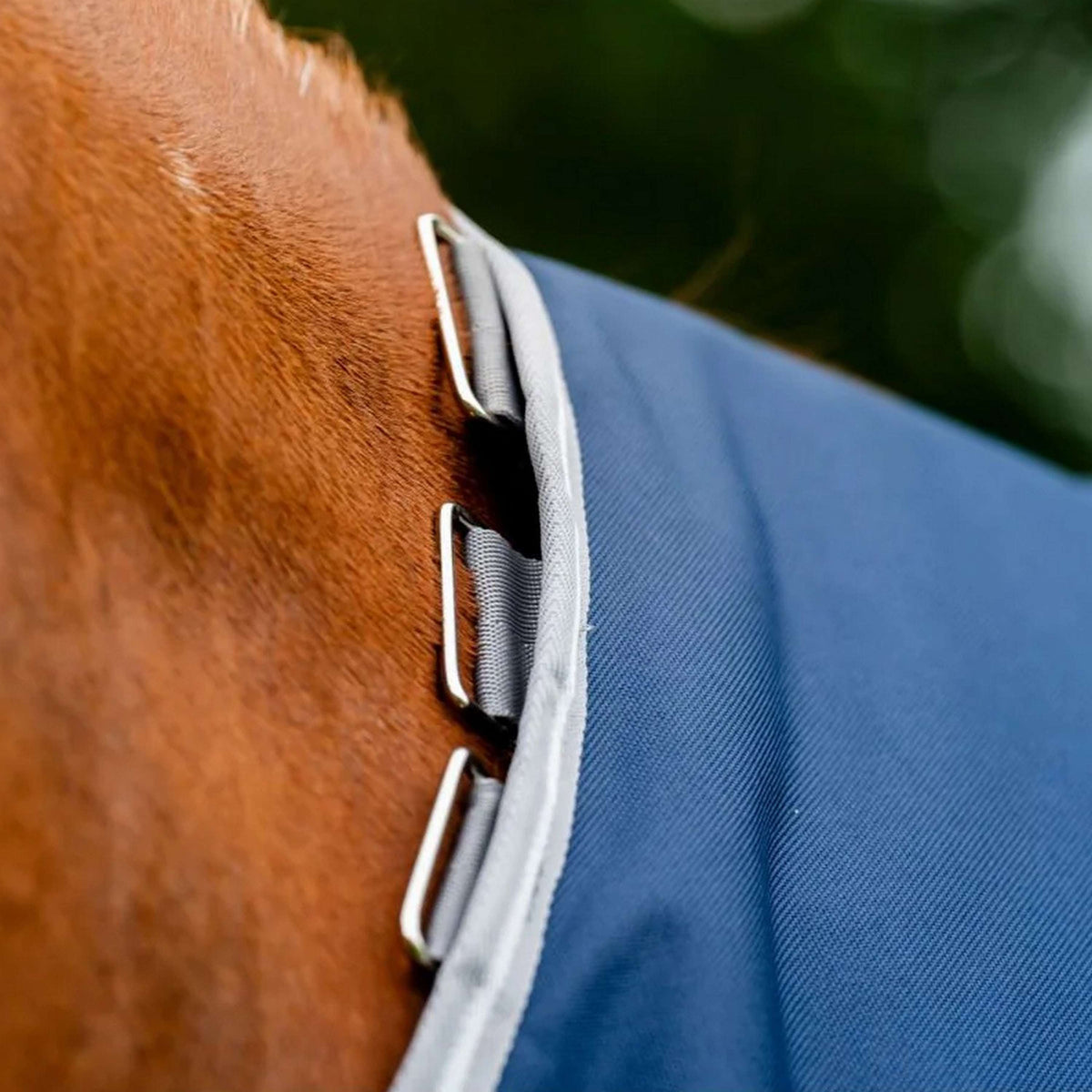 Amigo Paquete Bravo 12 Plus 50g Navy/Titanium Grey