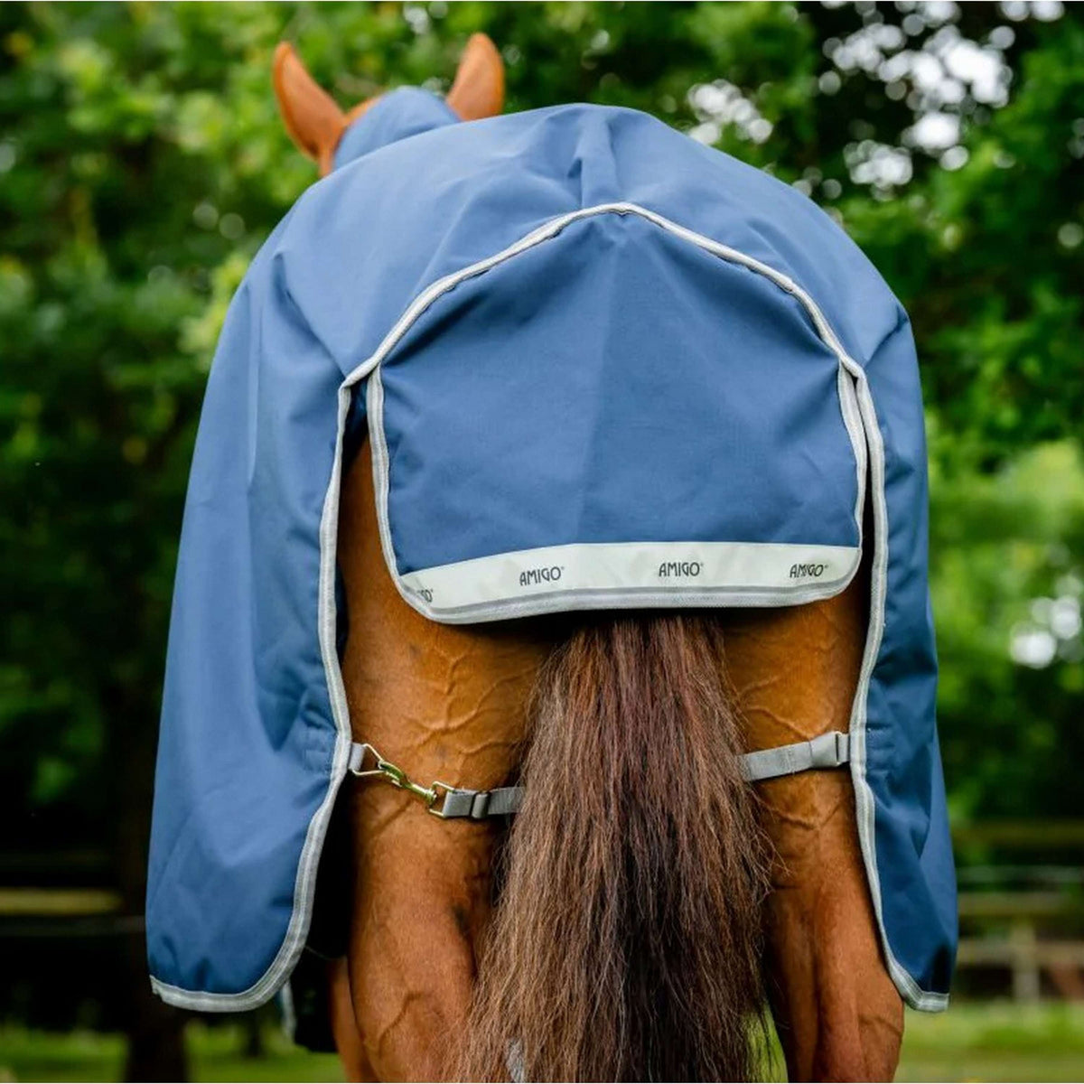 Amigo Paquete Bravo 12 Plus 50g Navy/Titanium Grey