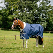 Amigo Bravo 12XL Original Turnout Lite 0g Navy/Titanium Grey