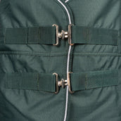 EQUITHÈME Alfombra de Exterior 600D Standard 300g Verde