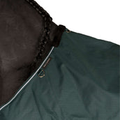 EQUITHÈME Alfombra de Exterior 600D Standard 300g Verde