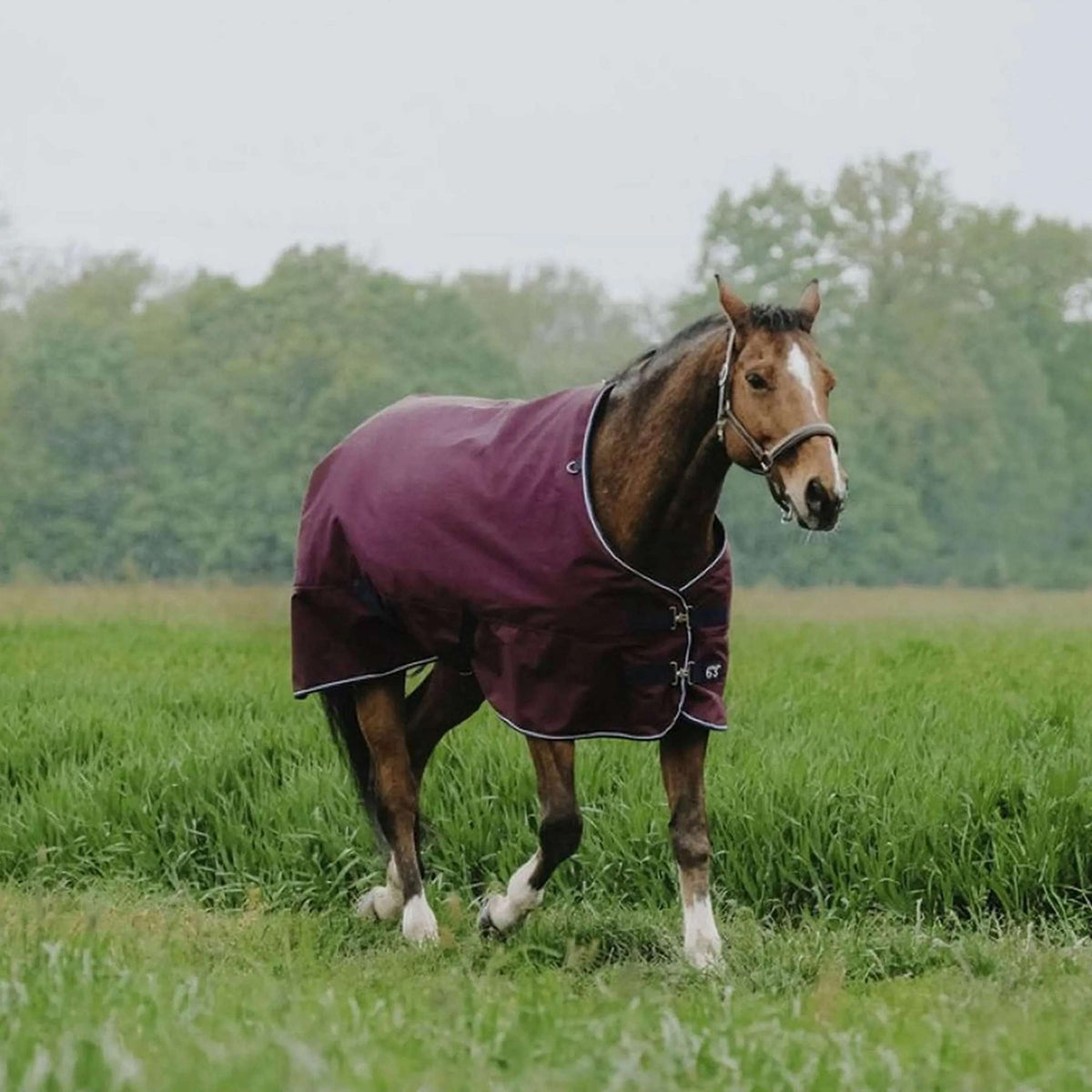 EQUITHÈME Alfombra de Exterior 1200D 150g Standard Burdeos