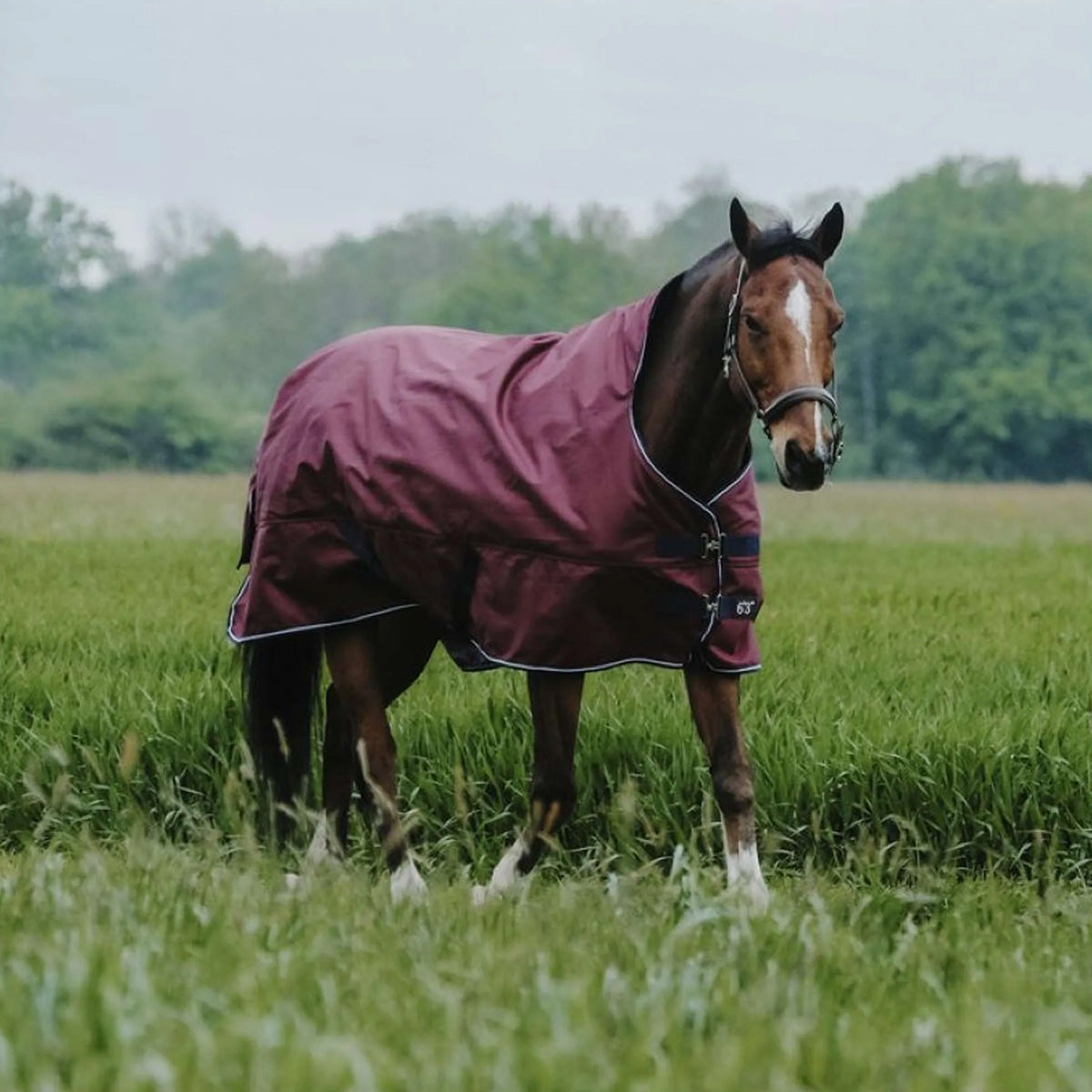 EQUITHÈME Alfombra de Exterior 1200D 50g High Neck Burdeos