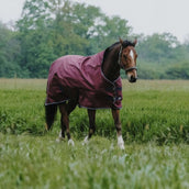 EQUITHÈME Alfombra de Exterior 1200D 50g High Neck Burdeos