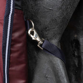 EQUITHÈME Alfombra de Exterior 1200D 50g High Neck Burdeos