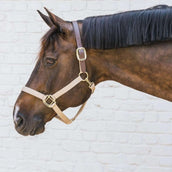 Kentucky Horsewear Cabezada Nylon Breakaway Marron