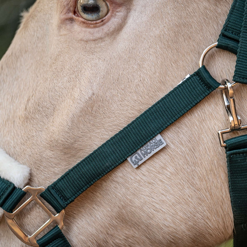 Agradi Horse Cabestro First Fir Green
