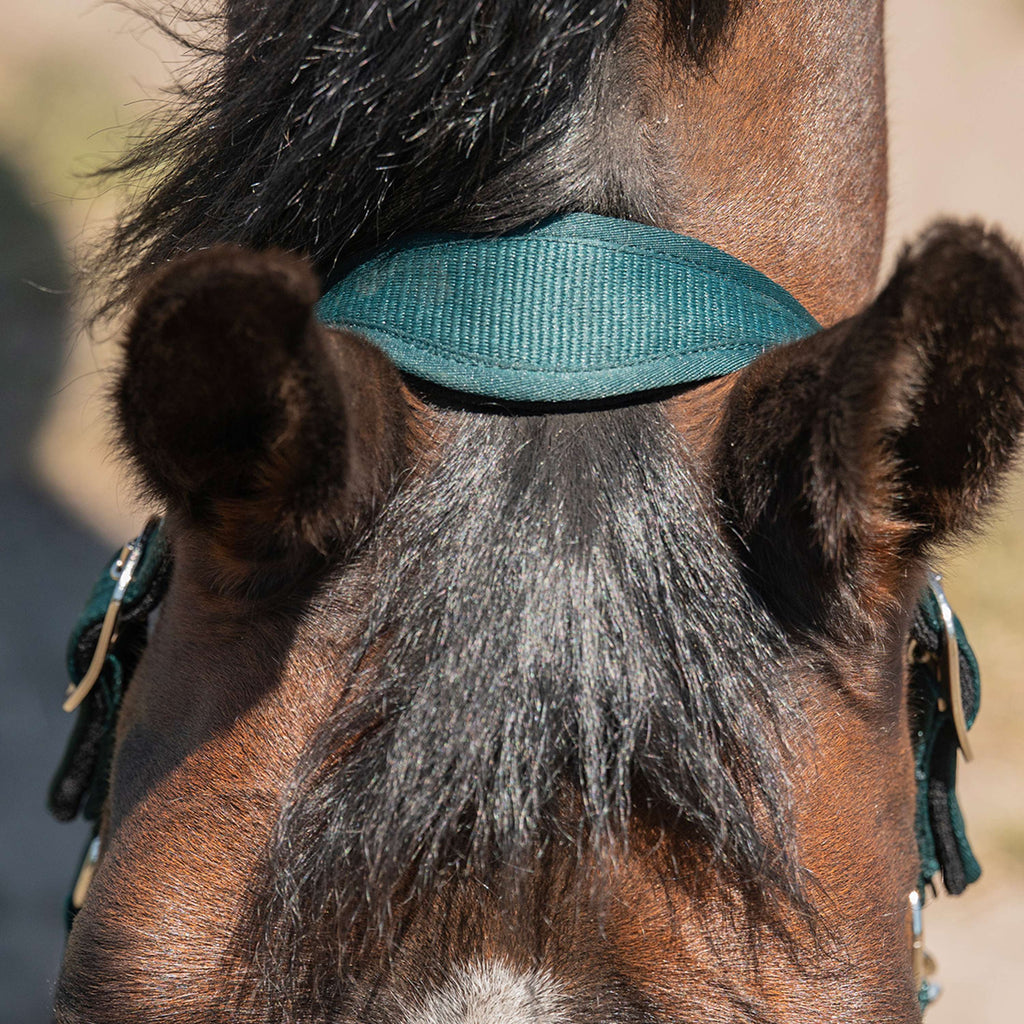 Agradi Horse Cabestro Athletic Fir Green