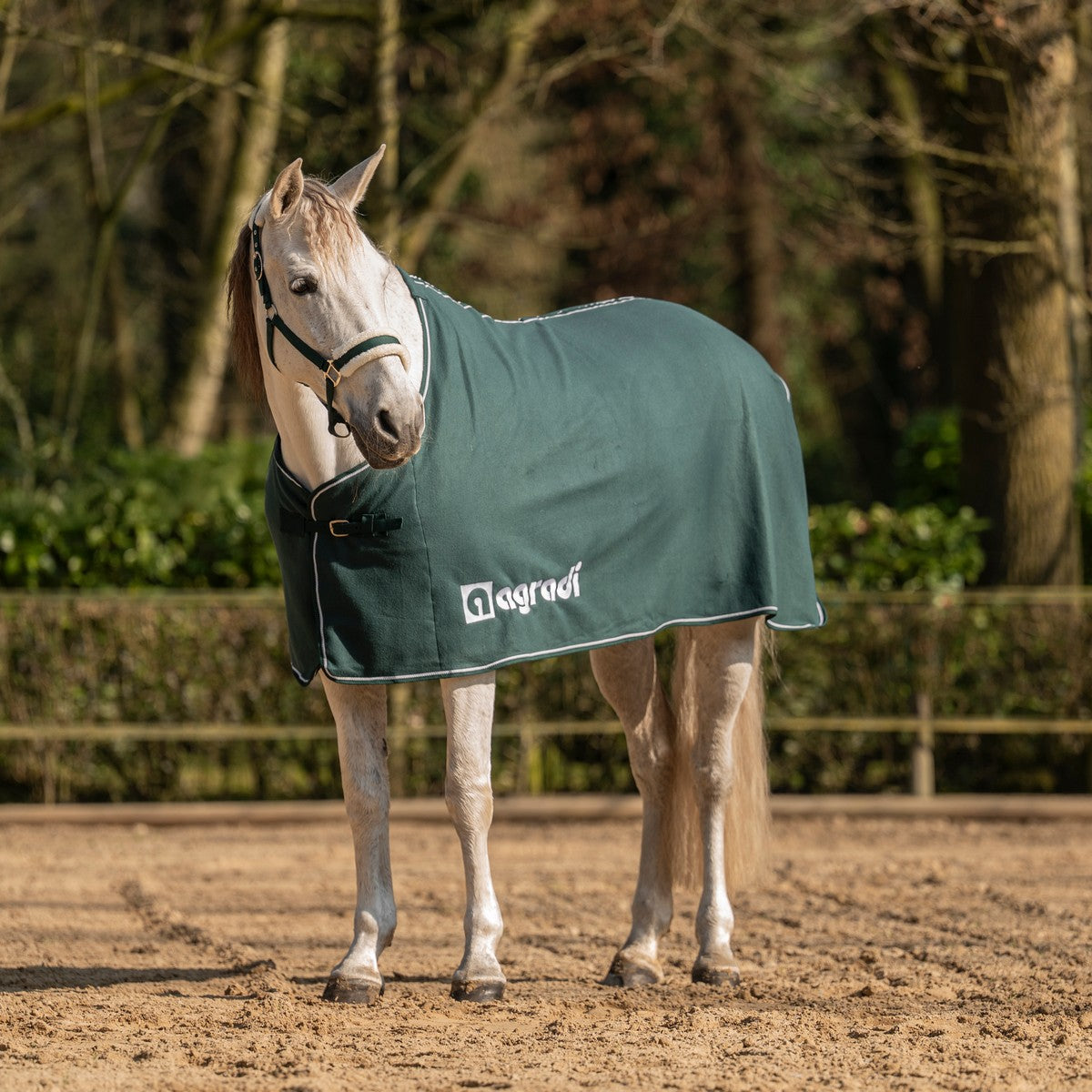 Agradi Horse Manta de Forro Polar Economic Fir Green