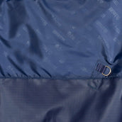 Agradi by Bucas Turnout Rug Marino/Plata