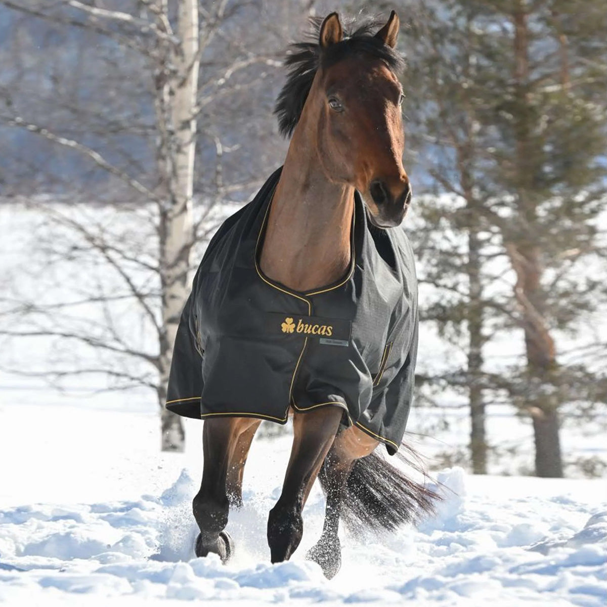 Bucas Irish Turnout 250g Negro/Oro